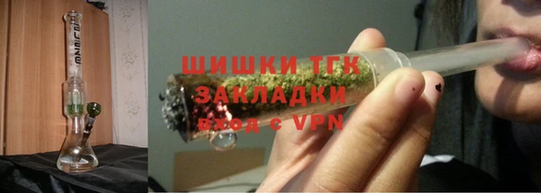 молекула духа Новозыбков