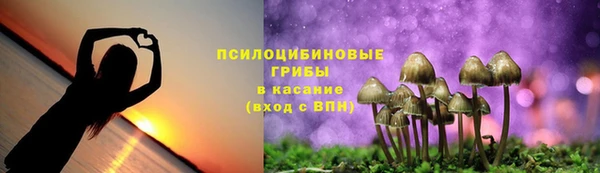 мдпв Новокубанск