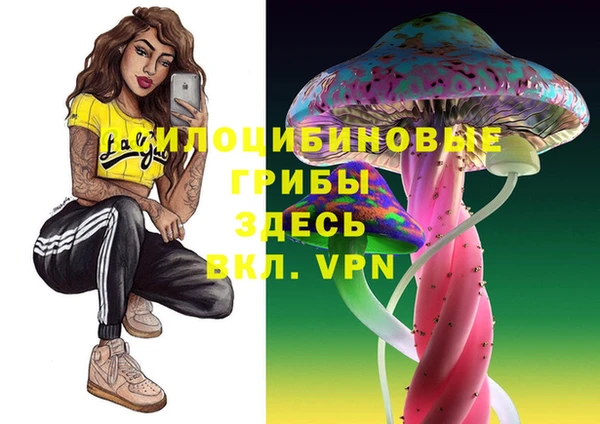 шишки Нея