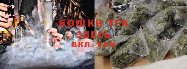 шишки Нея