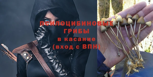 СК Нефтекумск