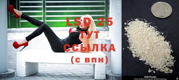 шишки Нея