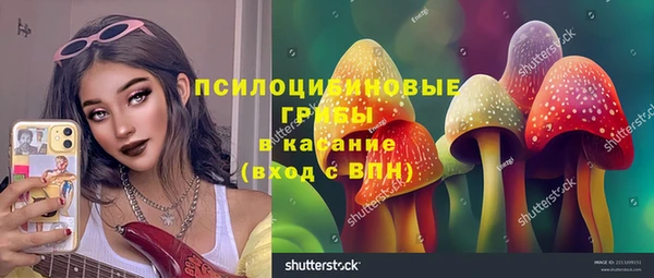 шишки Нея