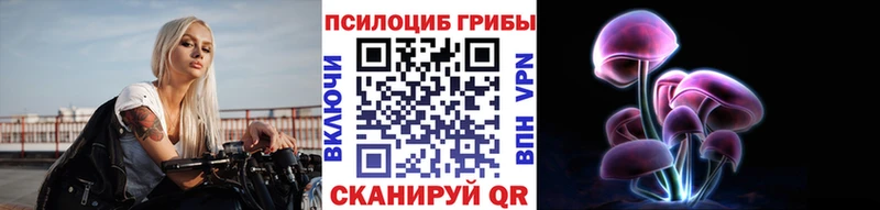 KRAKEN онион Трубчевск Псилоцибиновые грибы мицелий